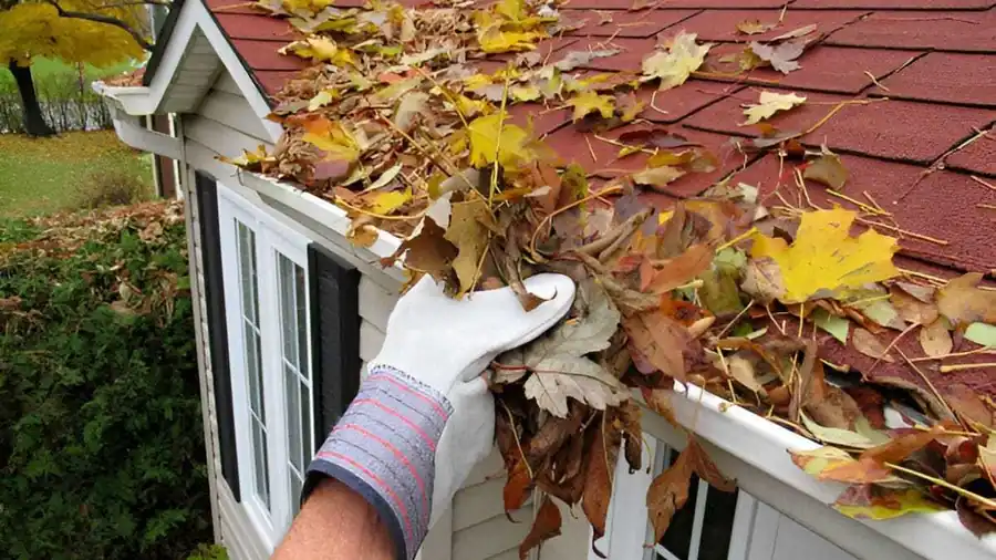 Gutter cleaning and clearing on an East Auckland home by My Homes Construct Ltd