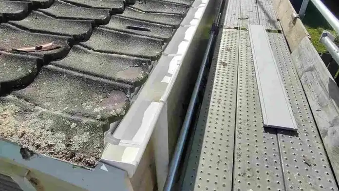 5 Reasons You Need to Consider Taylor Fascia Rebuild — My Homes Construct Ltd Auckland