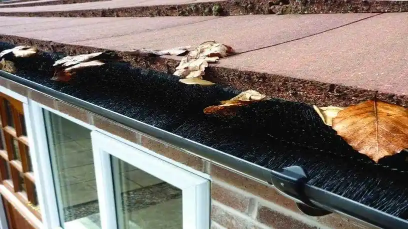 Are Gutter Brushes Any Good? Pros, Cons & Expert Insights