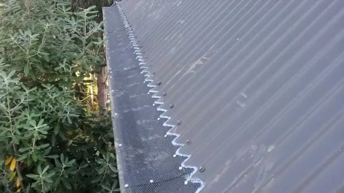 Gutter Guards: Are They Worth It for Auckland Homes? — My Homes Construct Ltd Auckland