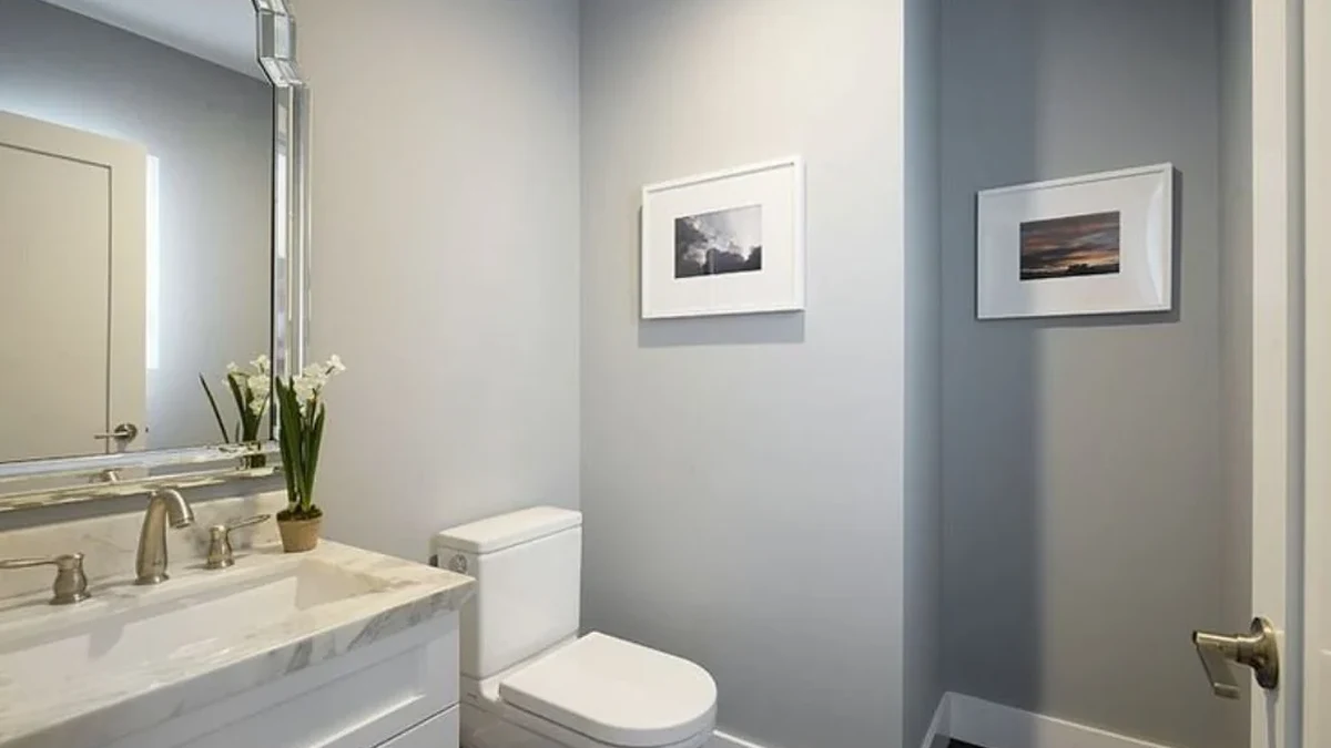 Best Colour Palettes for Auckland Renovations