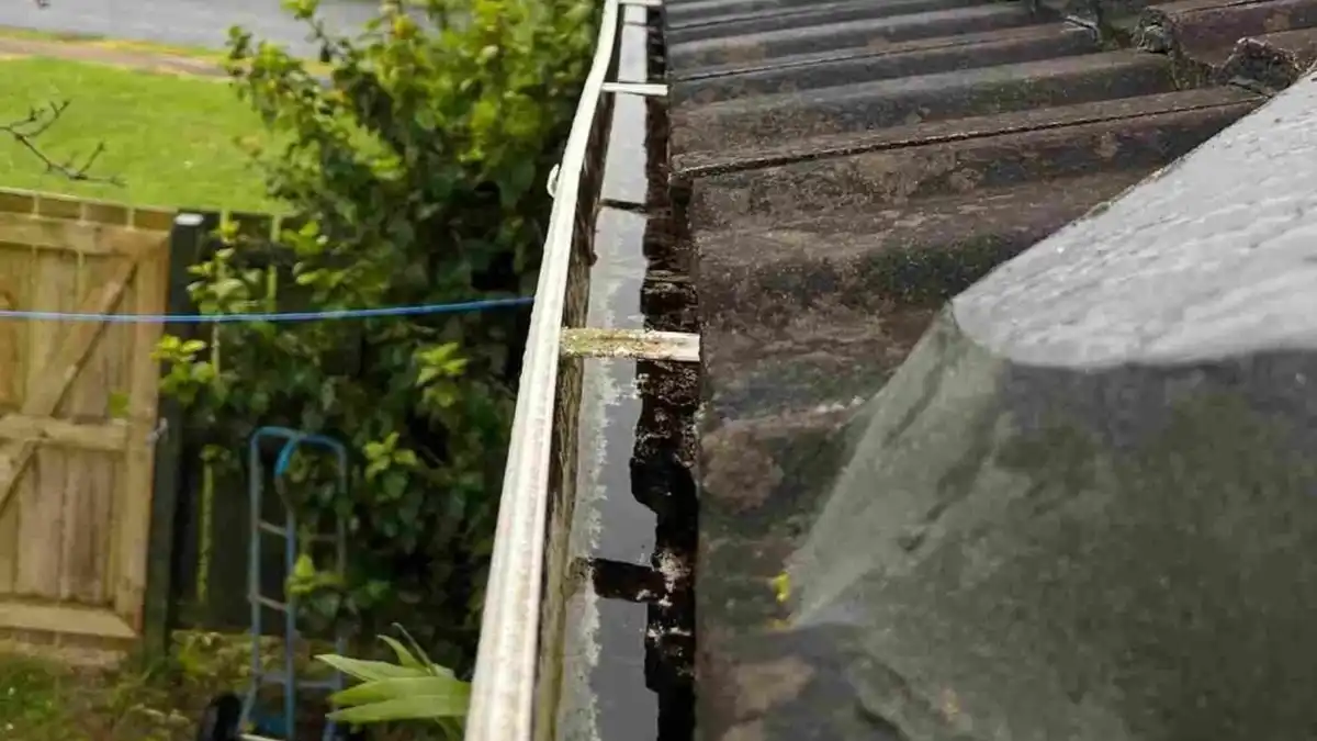 The Ultimate Checklist for Gutter Cleaning and Maintenance — My Homes Construct Ltd Auckland