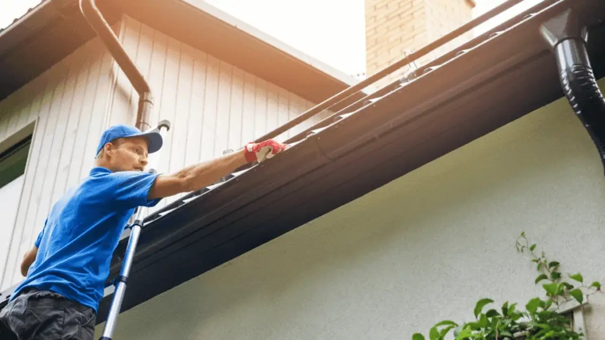 The Link Between Clean Gutters and Long-Lasting Exterior Paint in Auckland Homes — My Homes Construct Ltd Auckland