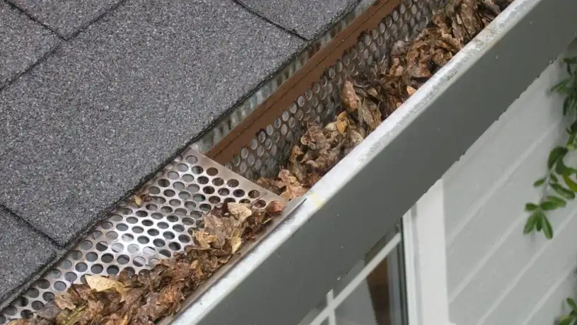 Essential Guide to Local Gutter Cleaning in Auckland – Protect Your Home & Boost Value — My Homes Construct Ltd Auckland