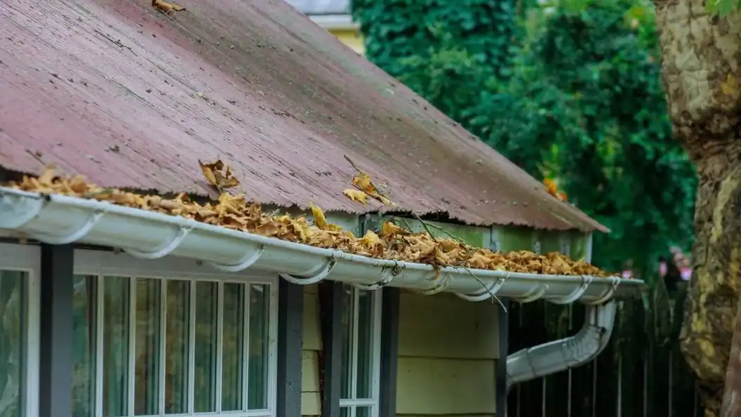 home renovation & Gutter replacement