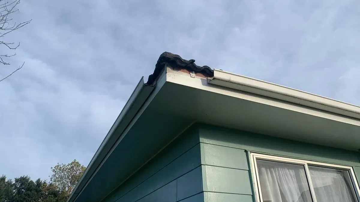 Essential Guide to Gutter Maintenance and Repair — My Homes Construct Ltd Auckland