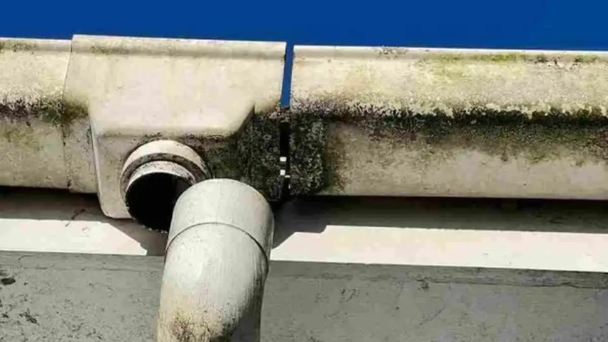 Gutter Maintenance & Repairs — My Homes Construct Ltd Auckland