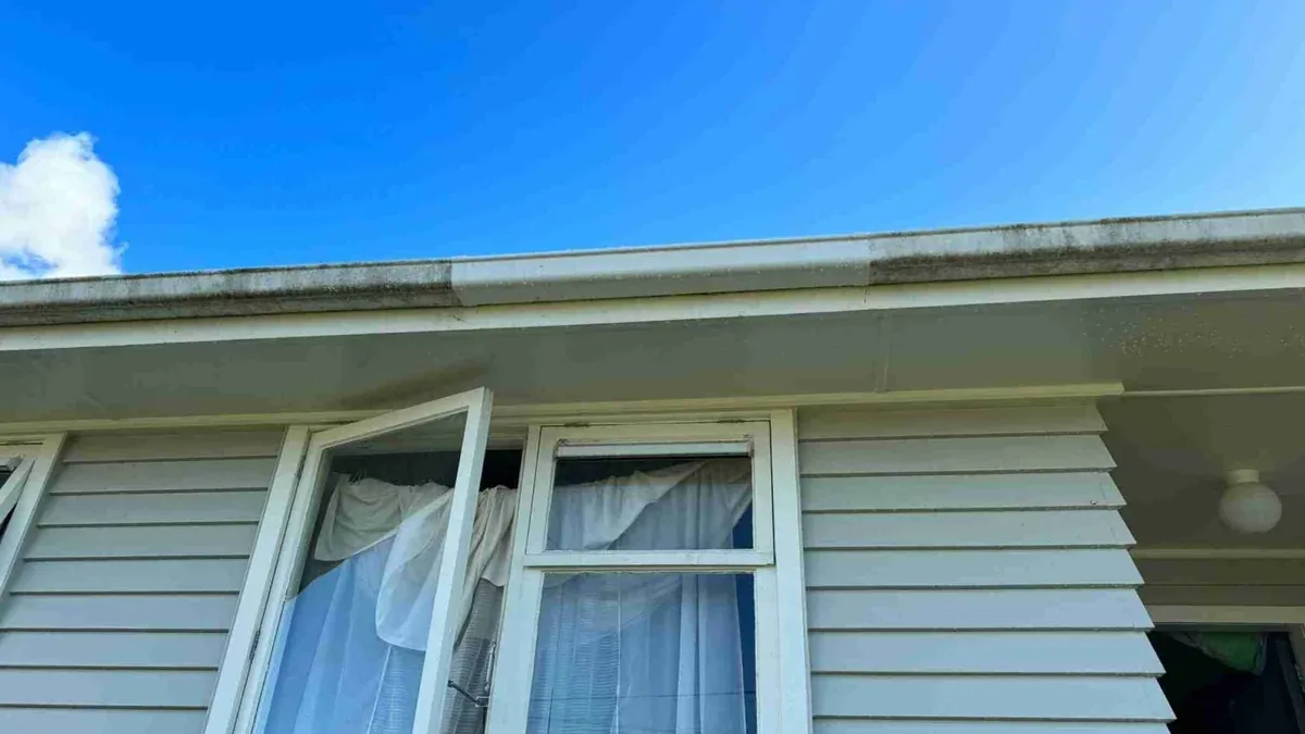 Gutter Maintenance & Repairs_01_01_02 (2)