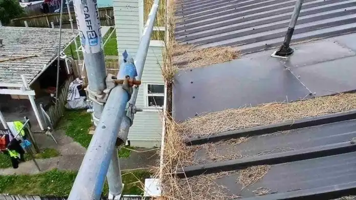 The Ultimate Guide to Gutter Replacement for Older Homes in Auckland — My Homes Construct Ltd Auckland