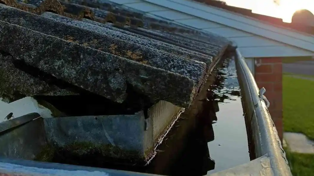 gutter maintenance auckland