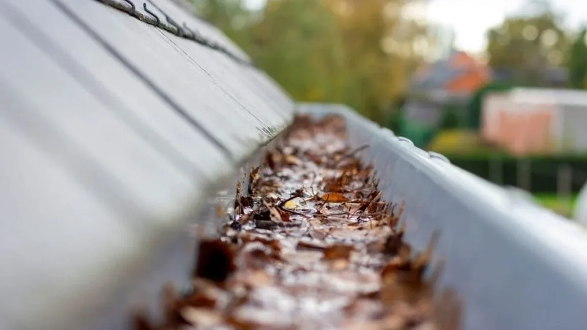 How Much Does Gutter Cleaning Cost in 2025? Your Complete Guide to Auckland Pricing — My Homes Construct Ltd Auckland