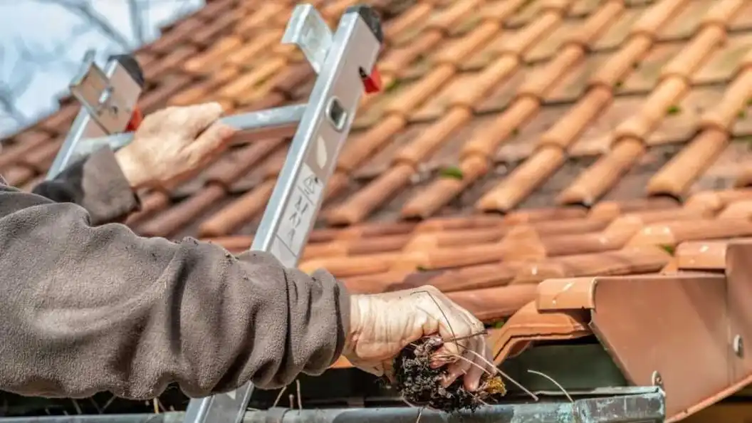 How to Clean Gutter Exterior: Expert Tips for Auckland Homes — My Homes Construct Ltd Auckland