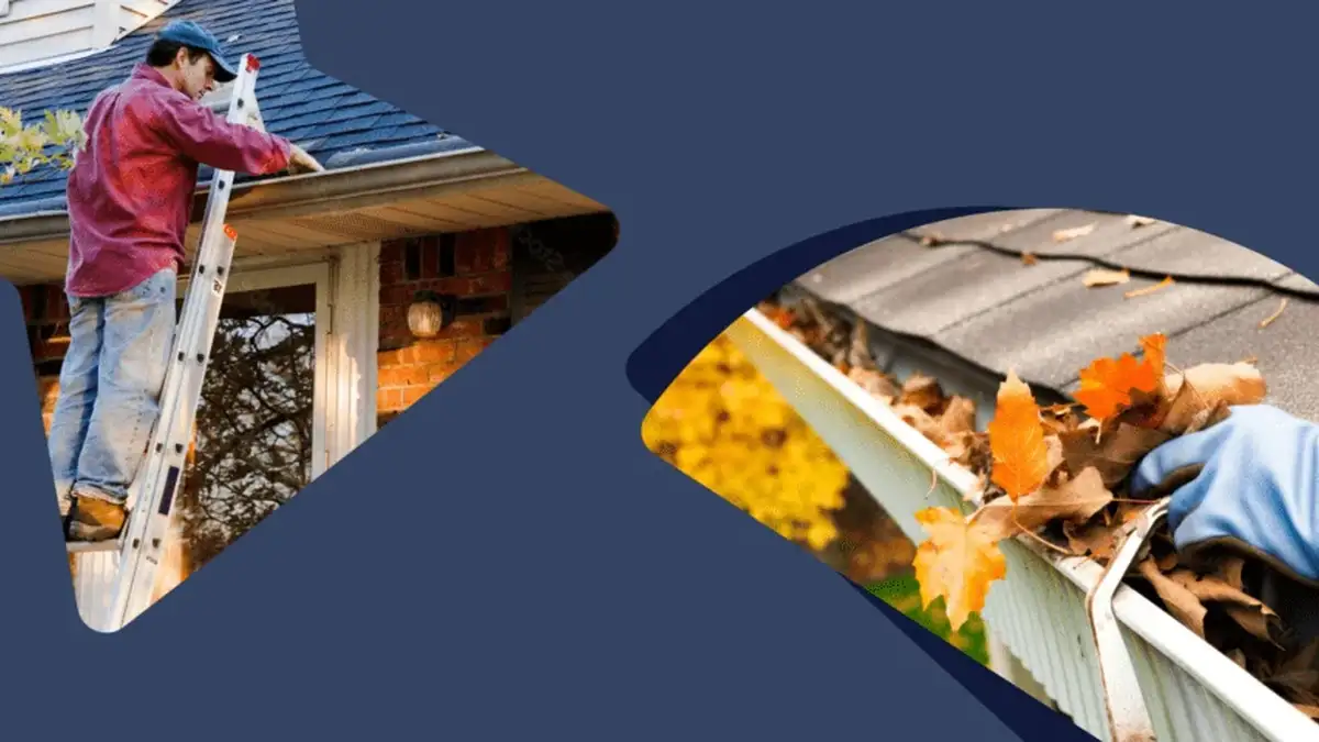 How to Clean Gutter Exterior: Expert Tips for Auckland Homes