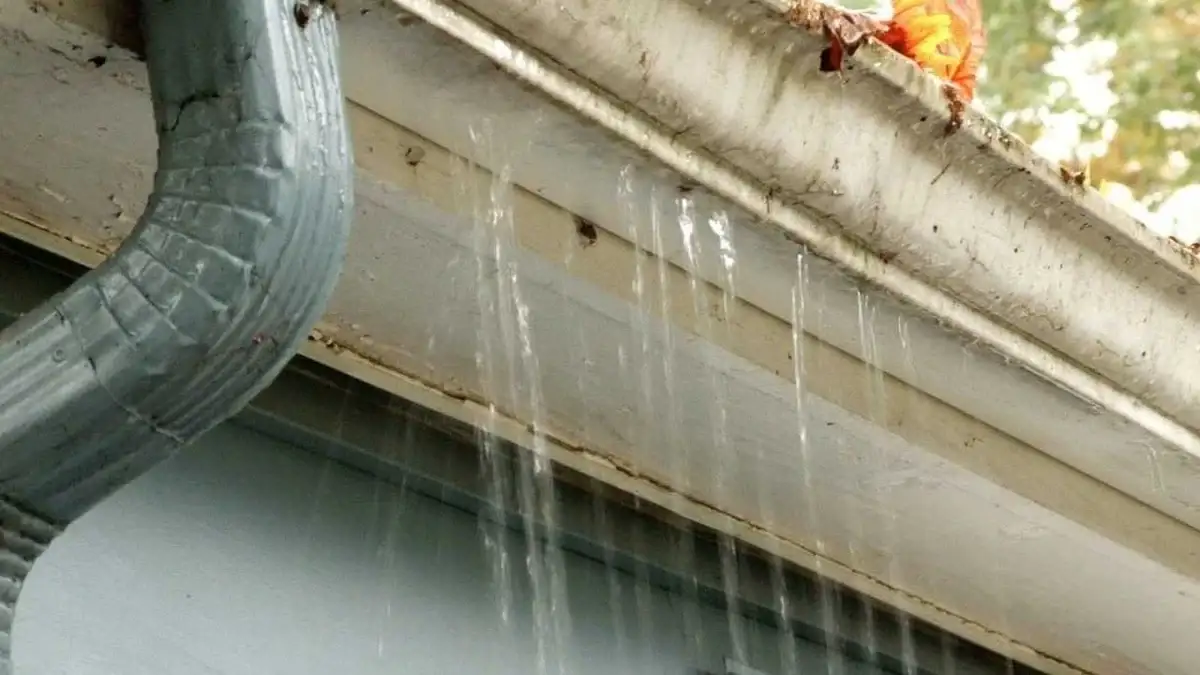 How to Clean Rain Gutters Like a Pro in 3 Easy Steps