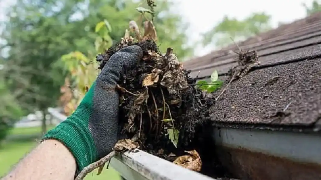 gutter replacement in auckland