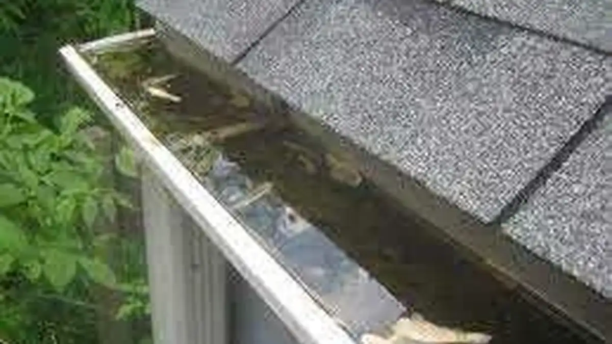 How to Rehab an Old Box Gutter: A Step-by-Step Guide for Homeowners — My Homes Construct Ltd Auckland