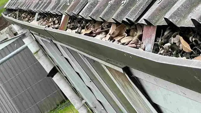 How to Spot Gutter Problems Early: A Homeowner’s Guide for Auckland — My Homes Construct Ltd Auckland