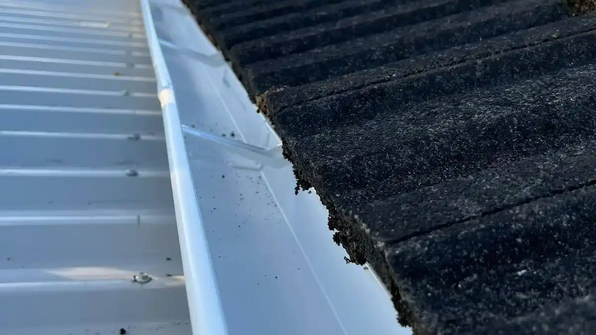 gutter maintenance auckland
