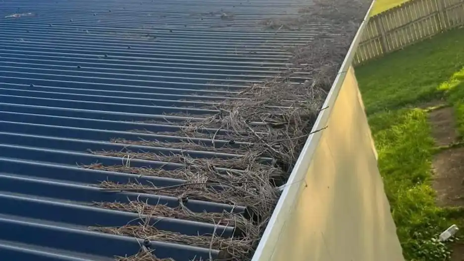 Professional Gutter Cleaning Services in Auckland — My Homes Construct Ltd Auckland