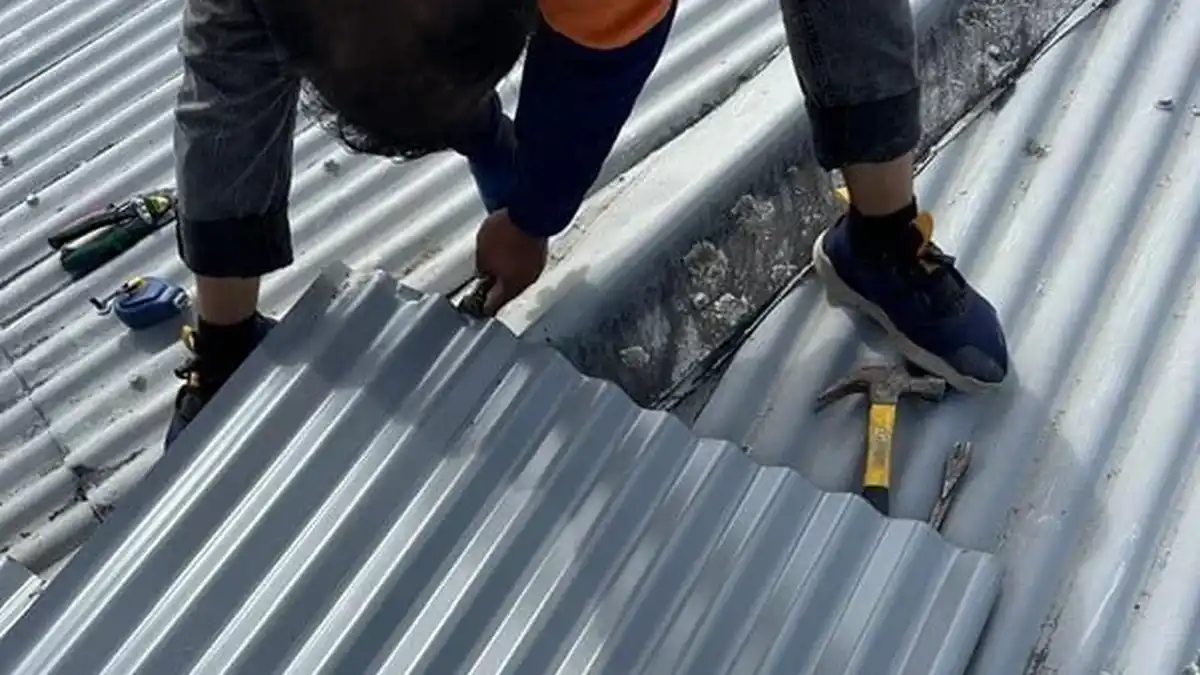 roof leak repair auckland