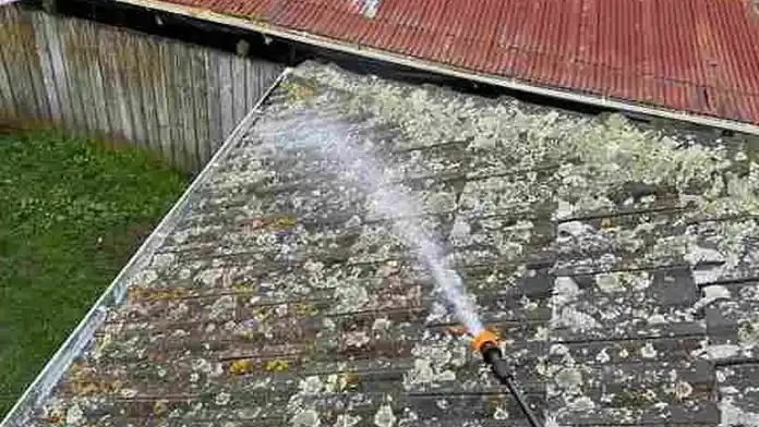 Benefits of Roof Moss Treatment — My Homes Construct Ltd Auckland