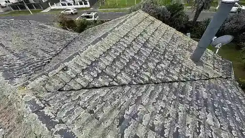 The Benefits of Roof Moss Treatment