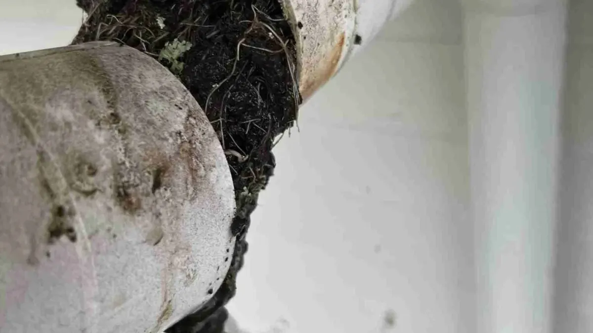 The Importance of Gutter Maintenance Before Auckland’s Storm Season