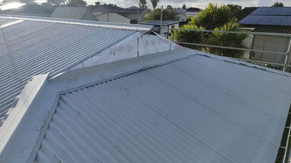 Roof Paint_06_05_01 (2)