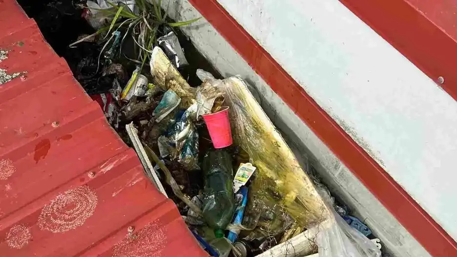 gutter cleaning_01_03_04