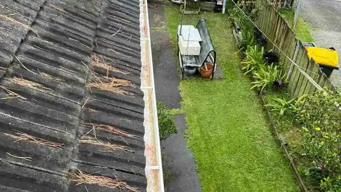 The Environmental Impact of Poor Gutter Maintenance in Auckland — My Homes Construct Ltd Auckland