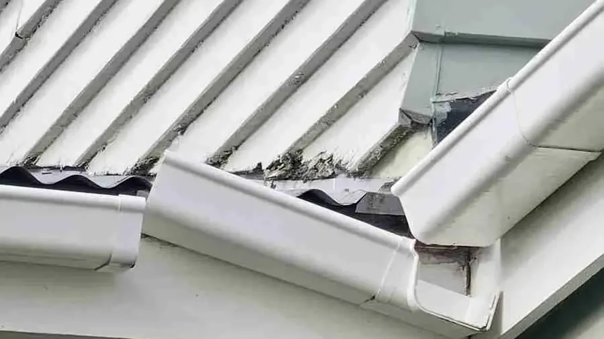 Gutter Maintenance Services in Auckland