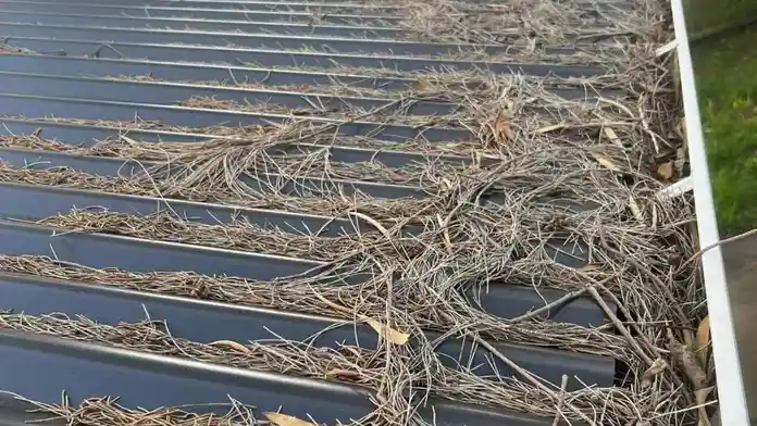 gutter cleaning near me