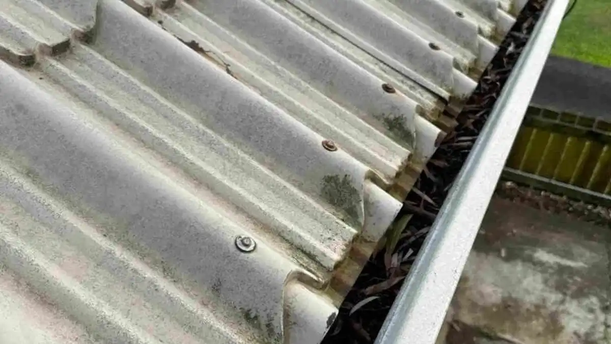 Upgrade Your Gutter System: Modern Solutions for Auckland Homes — My Homes Construct Ltd Auckland
