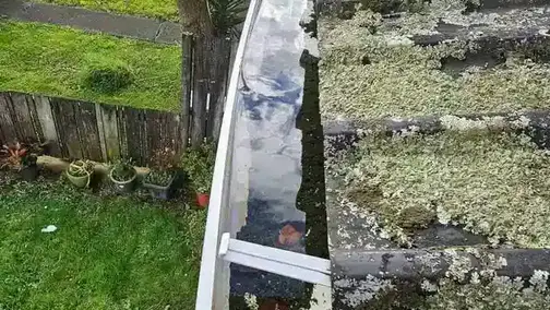 Gutter Maintenance_01 (4)