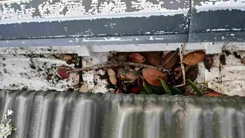 gutter repair in auckland
