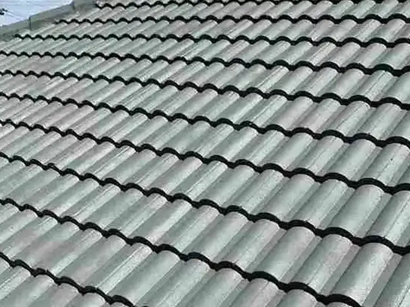 Roof Painting & Treatment completed in Henderson, Auckland by My Homes Construct Ltd