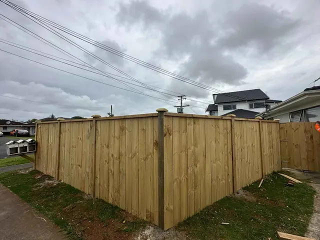 fence painting and staining finished to a professional standard