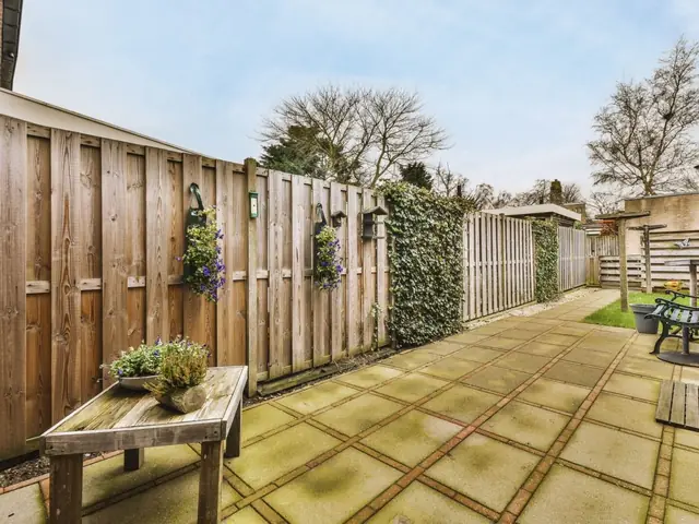 Completed fence painting and staining on a residential project in Auckland