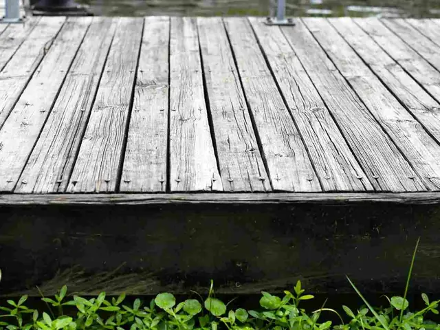 Outdoor deck and fence maintenance in progress on an Auckland property