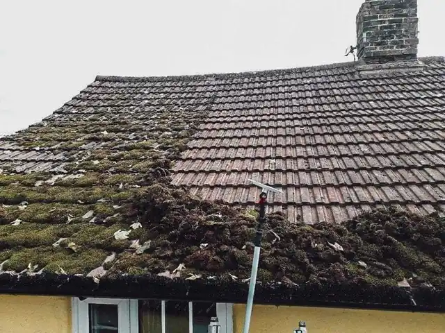 Roof moss treatment and removal, Auckland Roof moss treatment and removal completed for an Auckland home by My Homes Construct Ltd