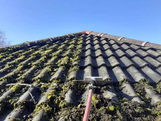 Roof moss treatment and removal, Auckland Roof moss treatment and removal in progress on an Auckland property
