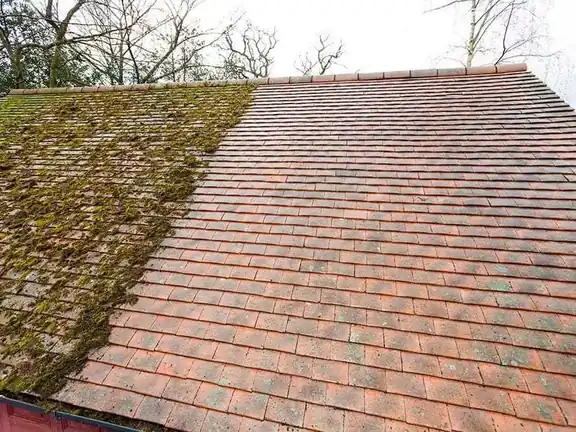 Roof moss treatment and removal, Auckland roof moss treatment and removal finished to a professional standard