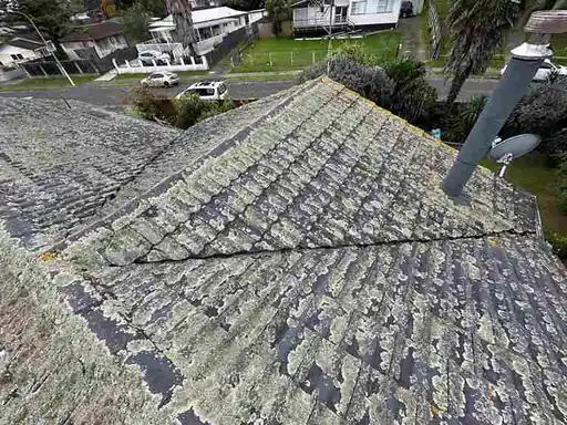 Roof moss treatment and removal, Auckland Completed roof moss treatment and removal on a residential project in Auckland