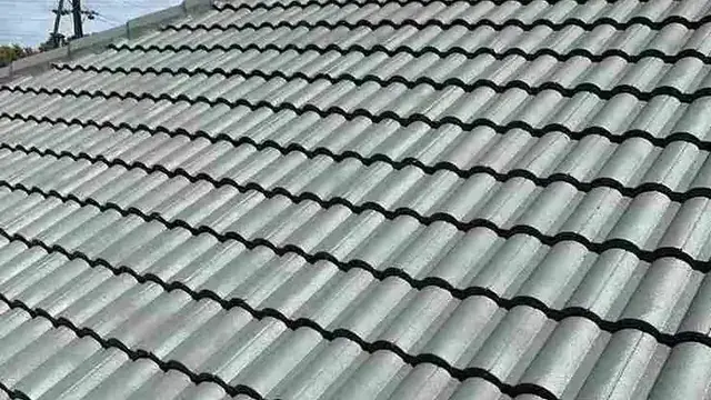 Roof painting and protective coating service in Auckland by My Homes Construct Ltd